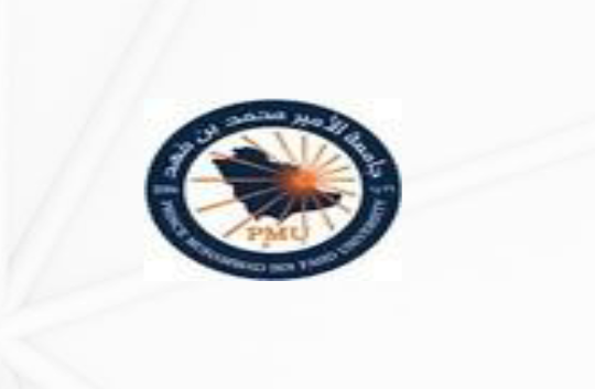 Logo 13